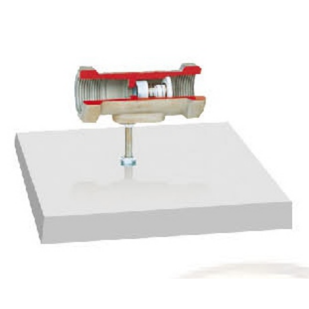 One-way valve dissected model