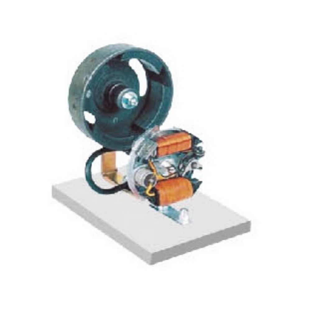 Electromagnetic ignition dissected model