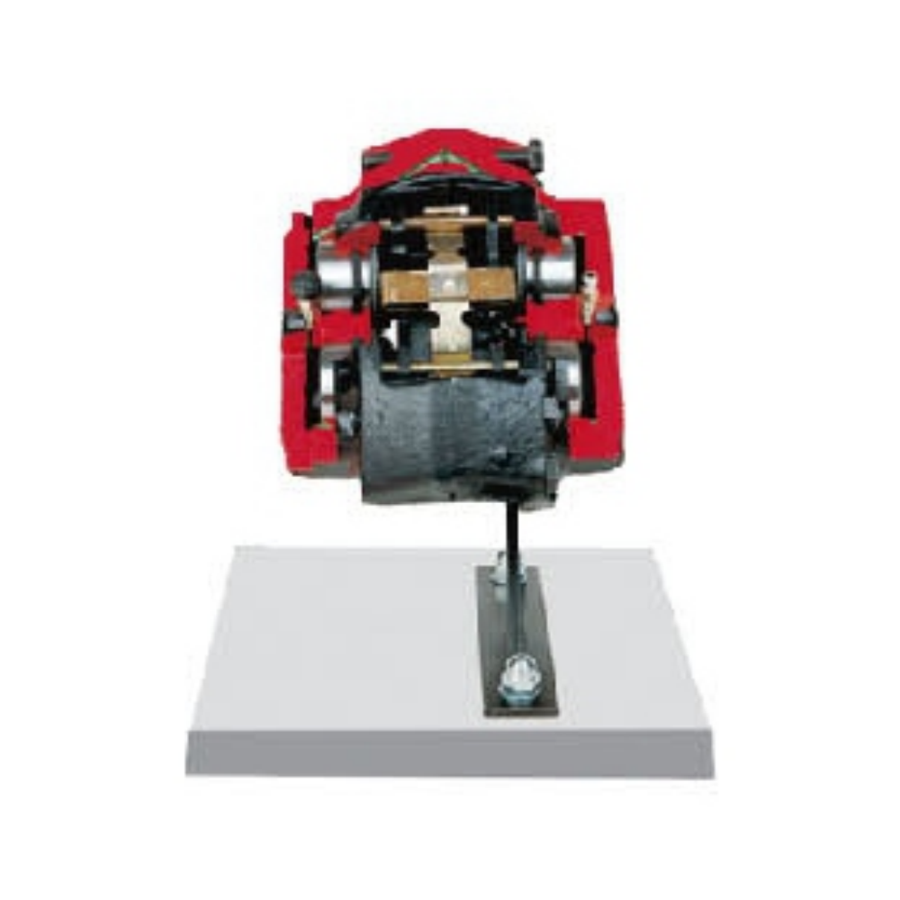 Fixed Caliper Disc Brake Anatomical Model