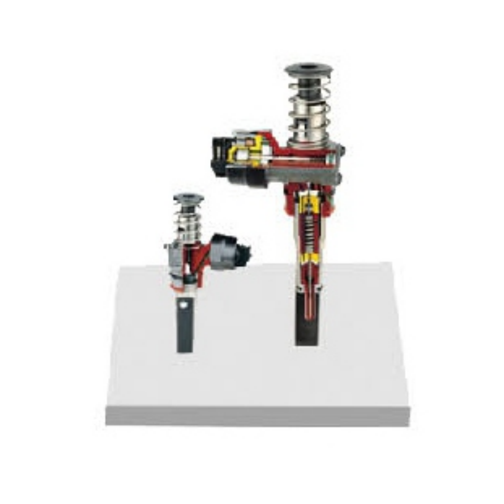 Modelo anatómico integrado de bomba-válvula-inyector