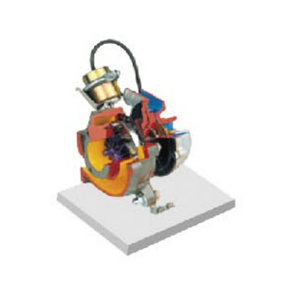 Turbocharger Anatomical Model