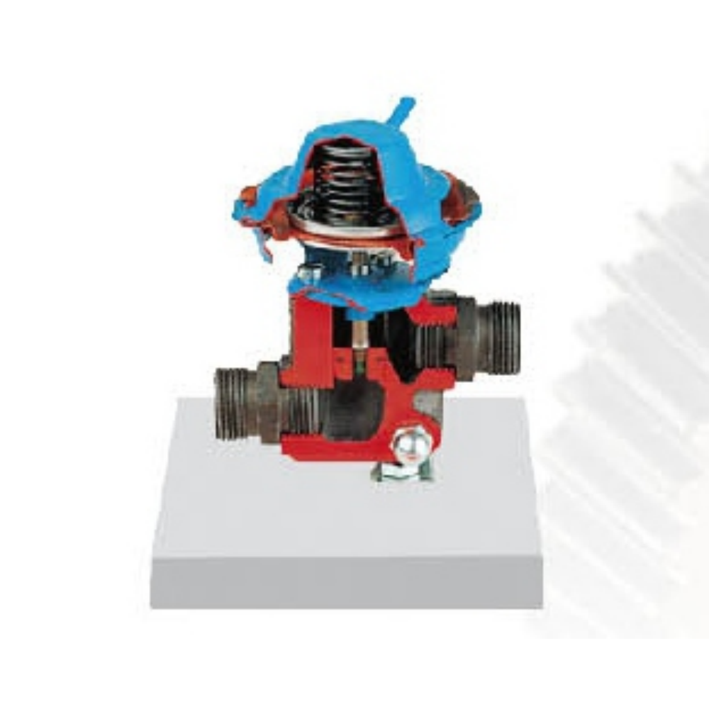 Exhaust gas recirculation dissected model