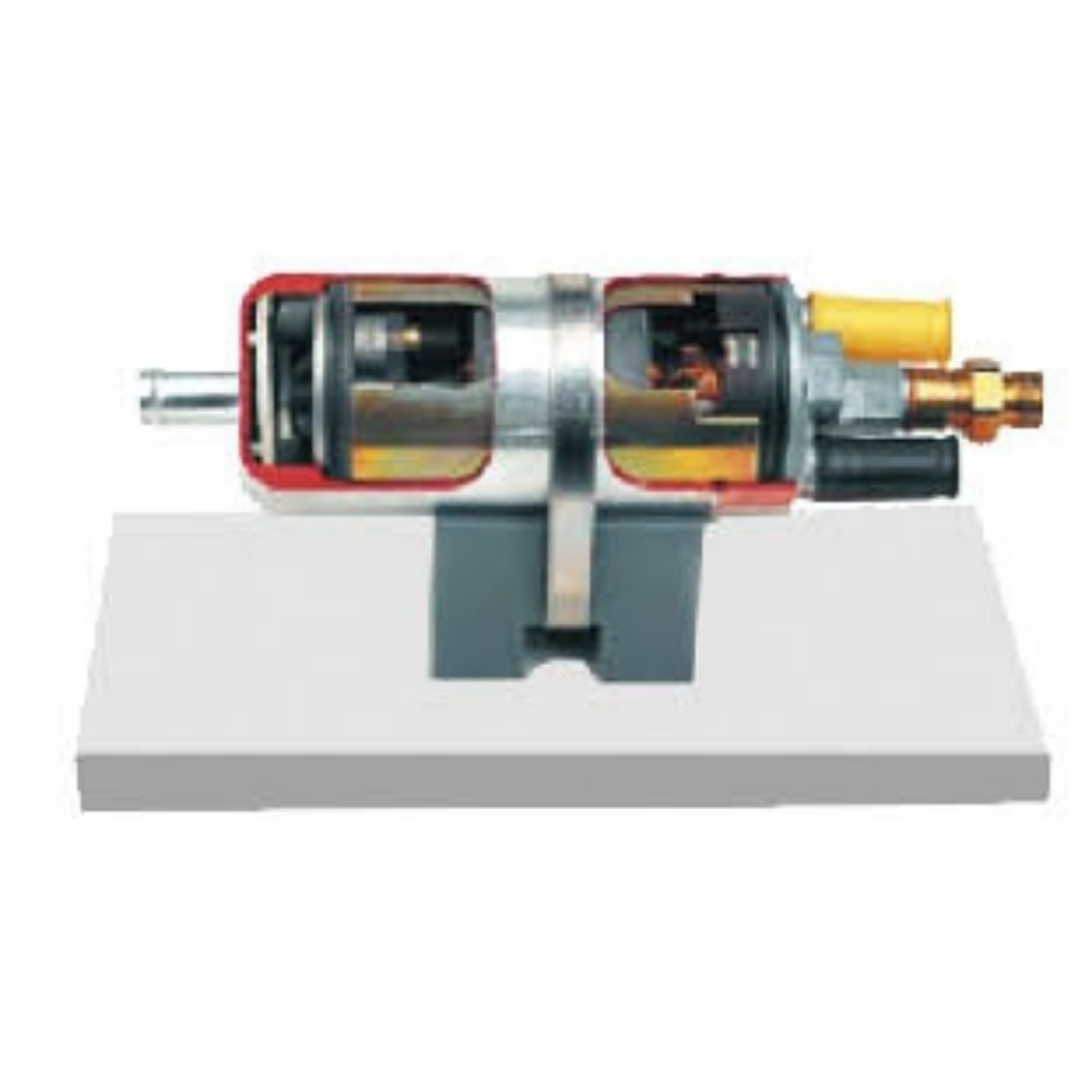 Anatomical model of an electronically controlled fuel pump