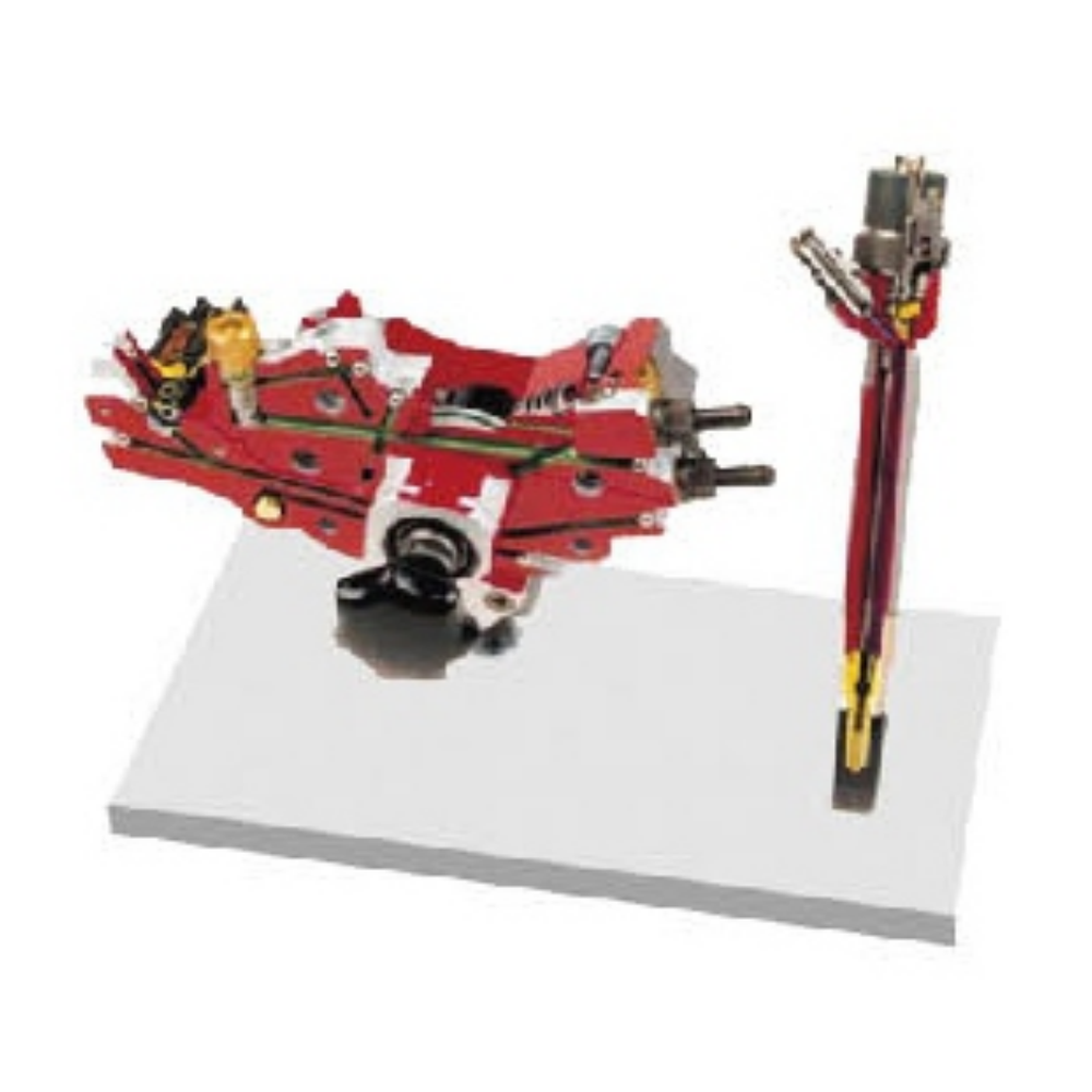 Common Rail High Pressure Pump with Pressure Regulating Valve and Nozzle Anatomical Model