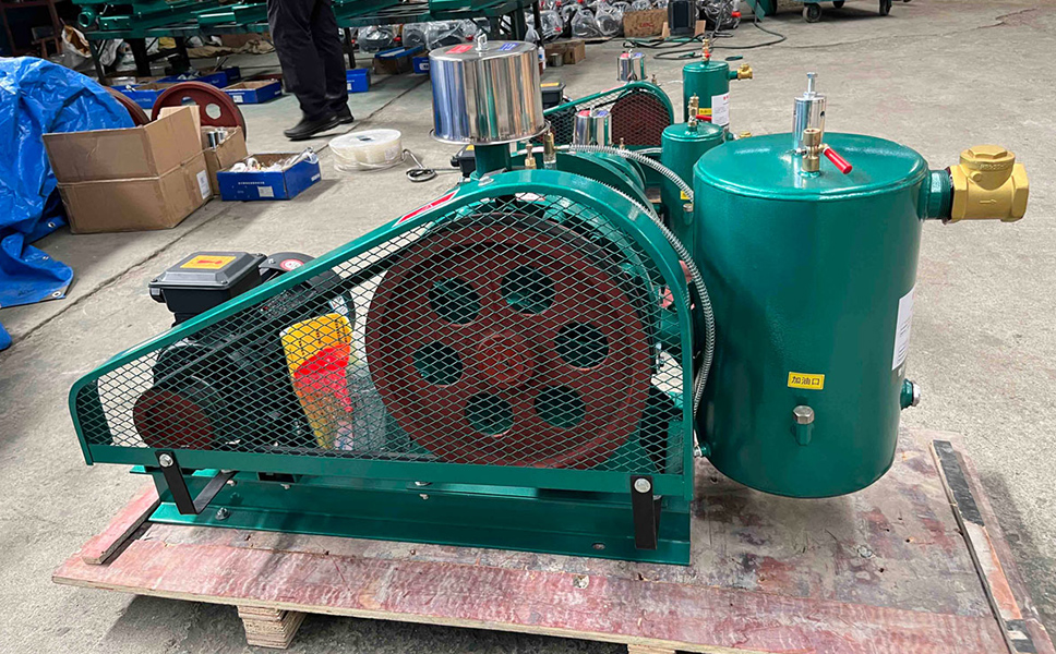 Rotary Blower