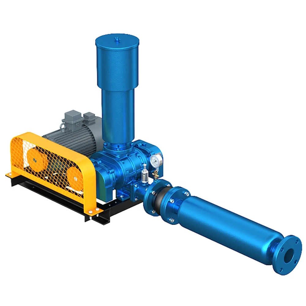 What Maintenance Practices Help Extend the Life of a Lobe Roots Blower?