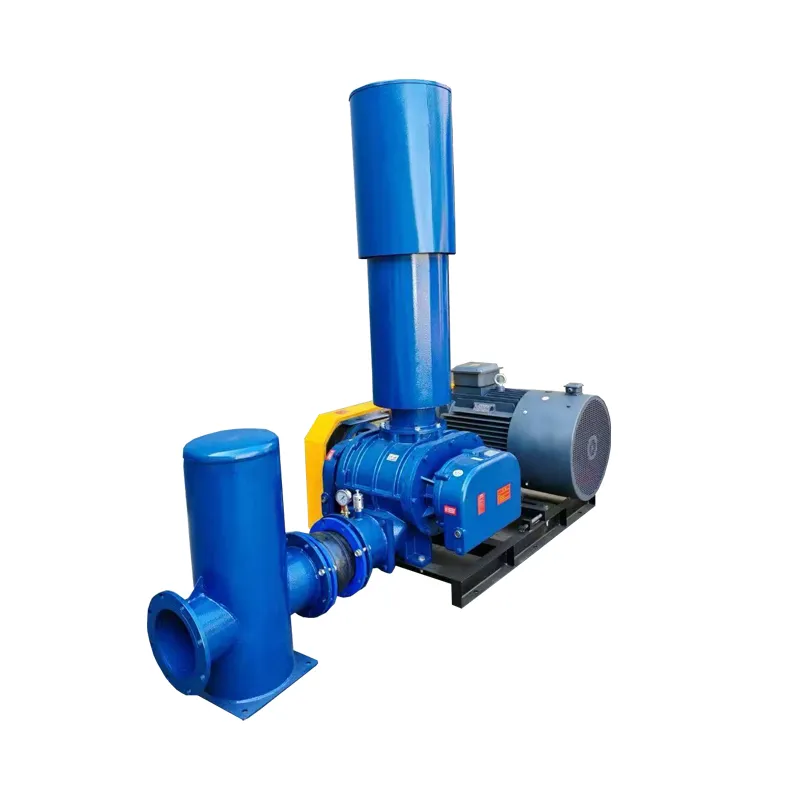 Which Services Do Professional Roots Blower Manufacturers Provide?