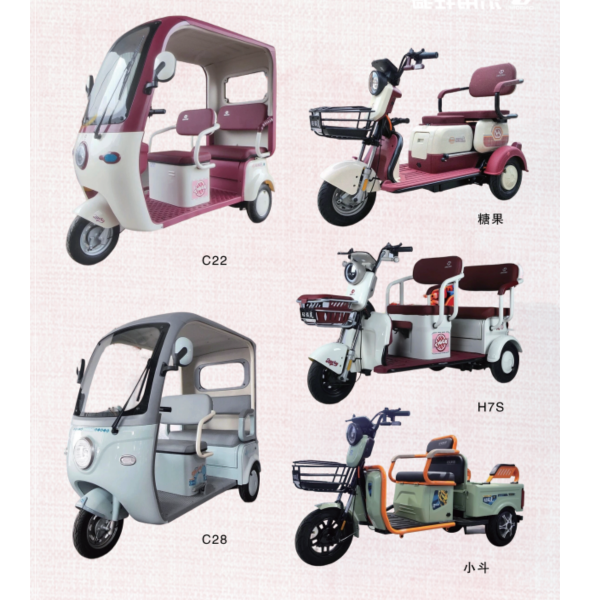 Standard Logistics & Leisure Electric Tricycle Series