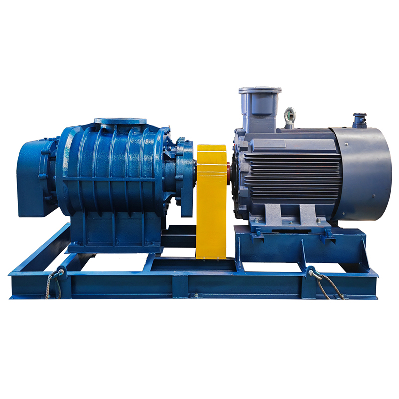 Directly Connected Turbo Blower for Inflatables 50Hz  Low Noise  Electric Blower