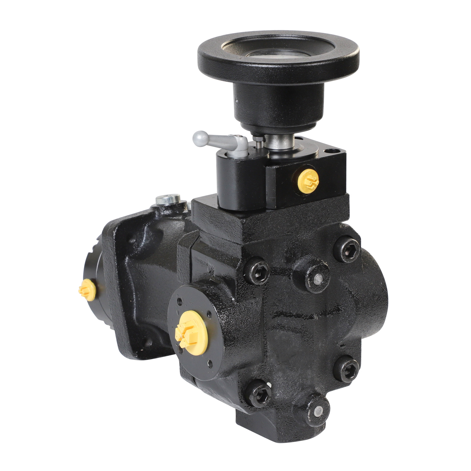 What Common Issues Can Arise with Double Shaft Sealing Pumps?