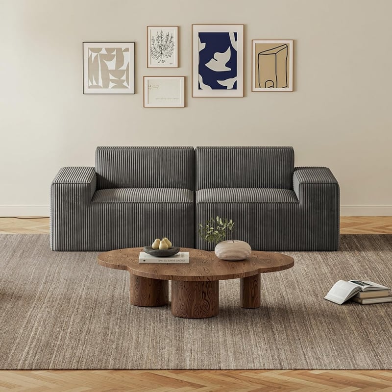 2 Seaters Vacuum Packed Boneless Modular Sectional Compressed Sofas Set Living Room Furniture