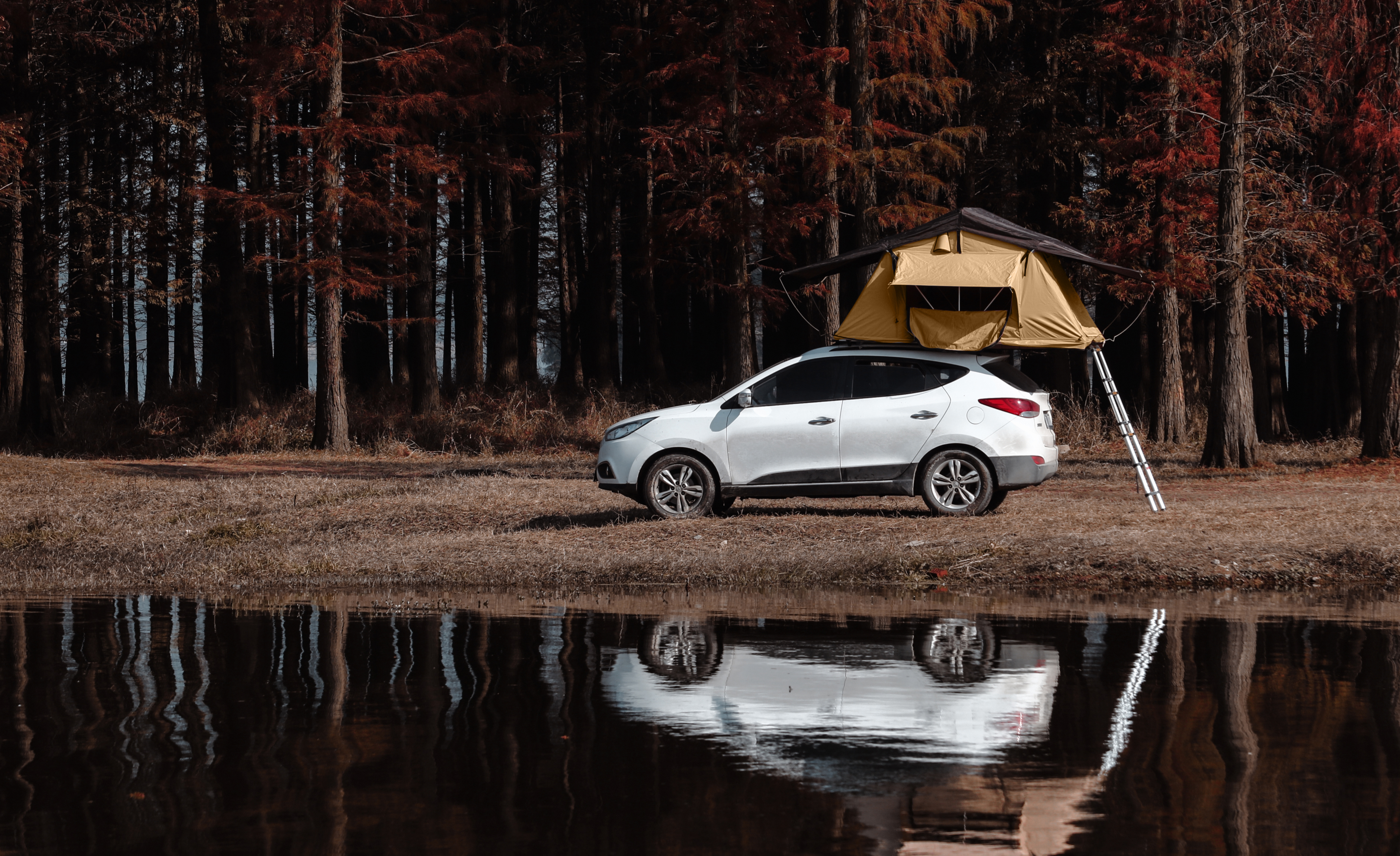 Unmatched Durability and Weather Resistance