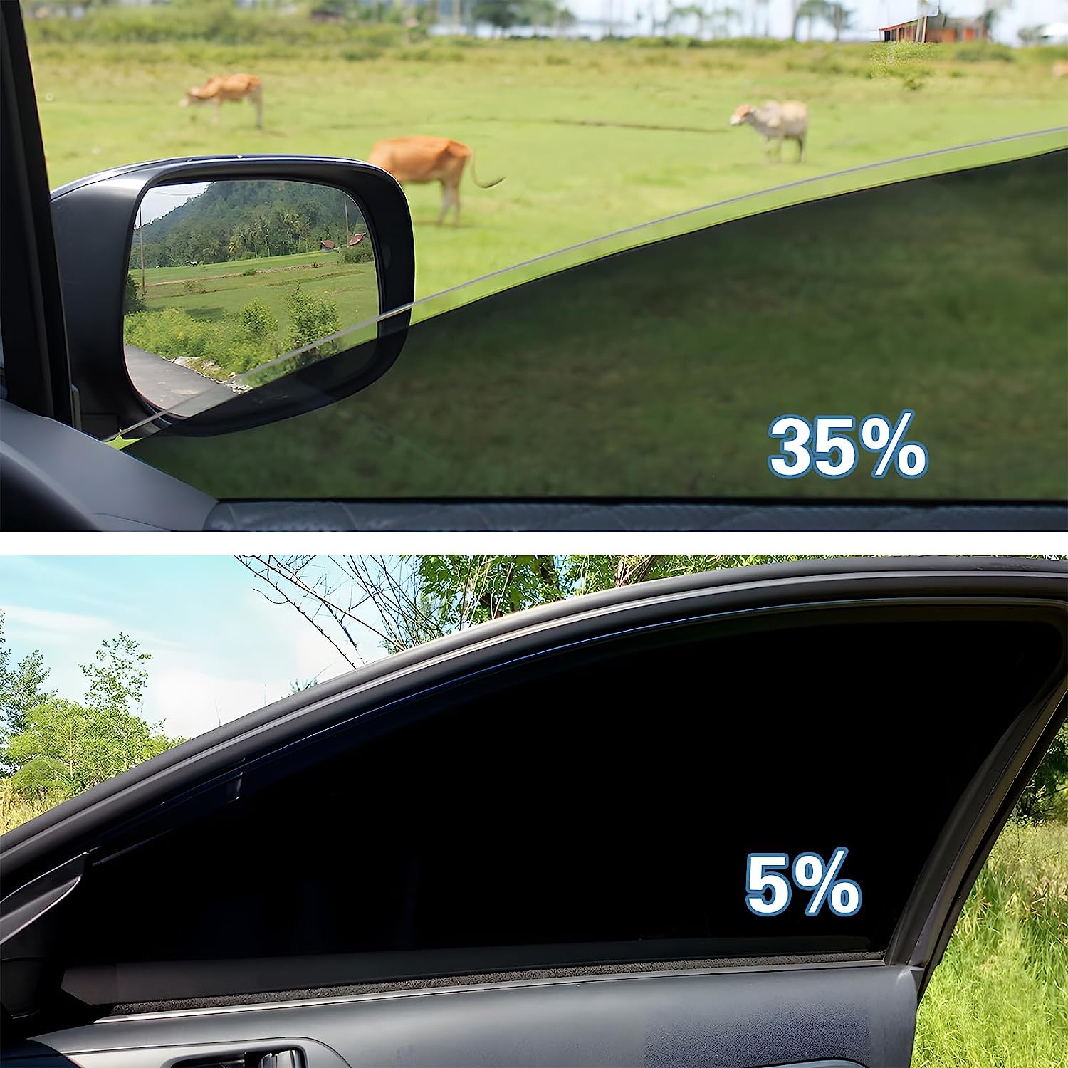 Can PPF Be Applied to Any Car Surface Area?