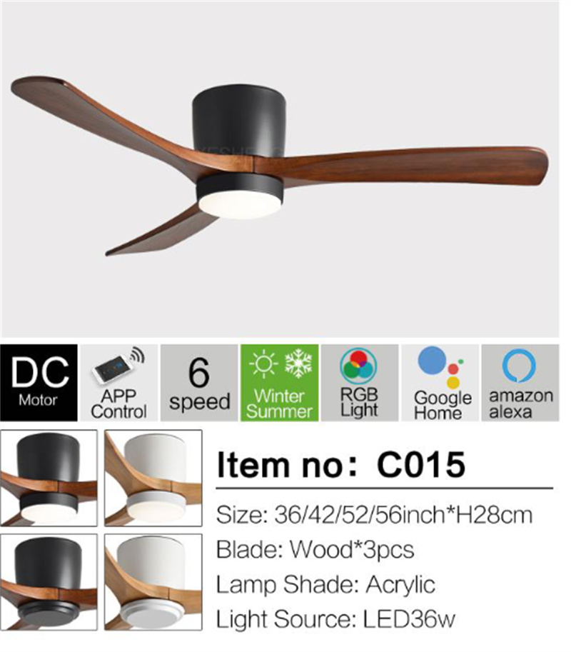 image3.jpg