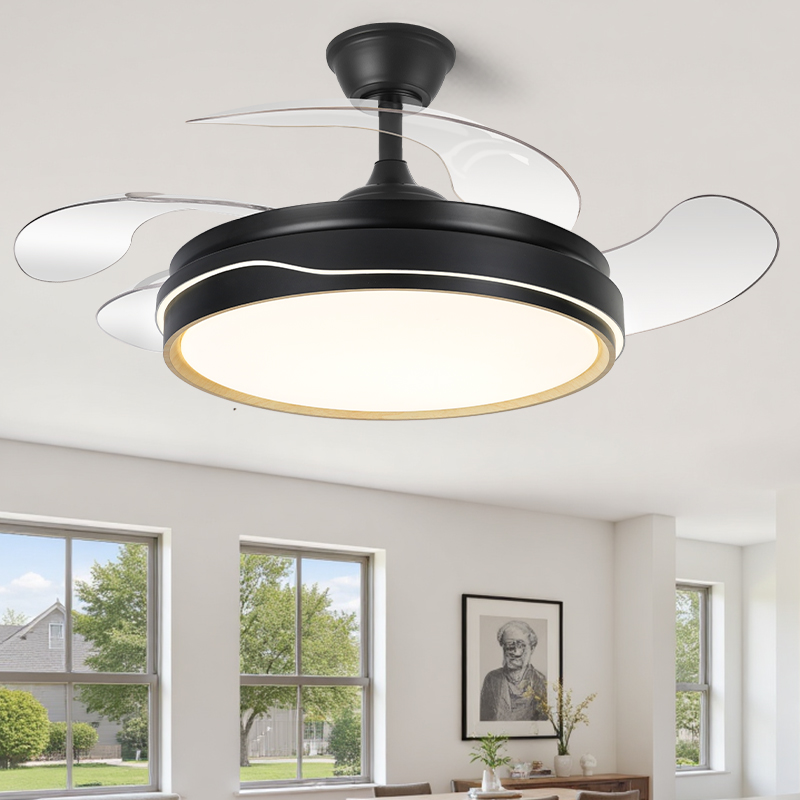 Chandelier Fan for Bedroom & Black Ceiling Fans with Lights