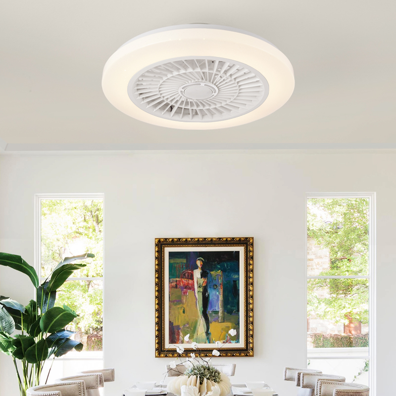 XD207 Fan Light Fixtures & Remote Control Fan with Light