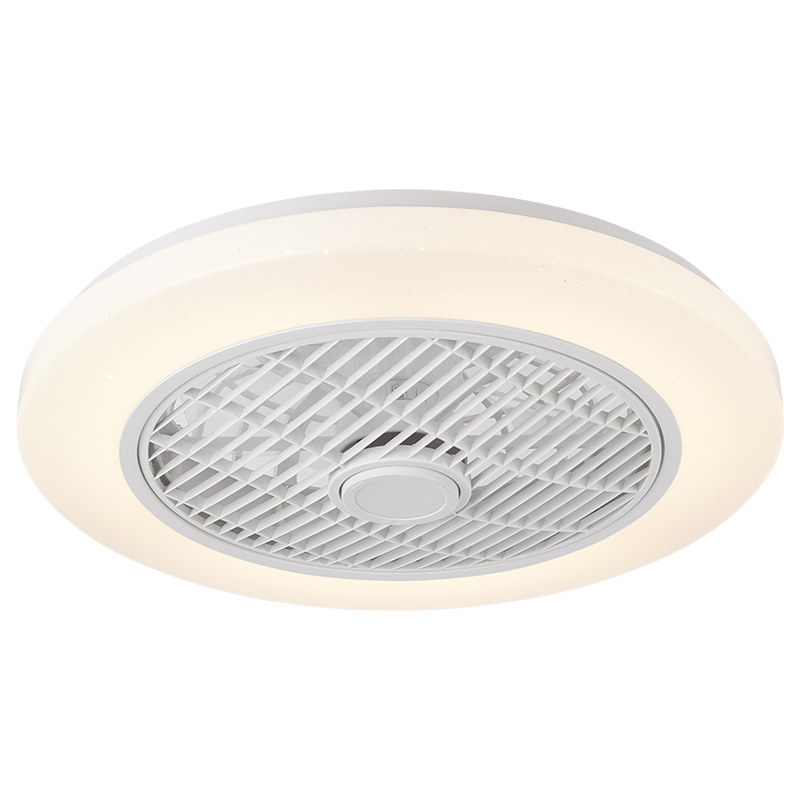 XD207 Fan Light Fixtures & Remote Control Fan with Light