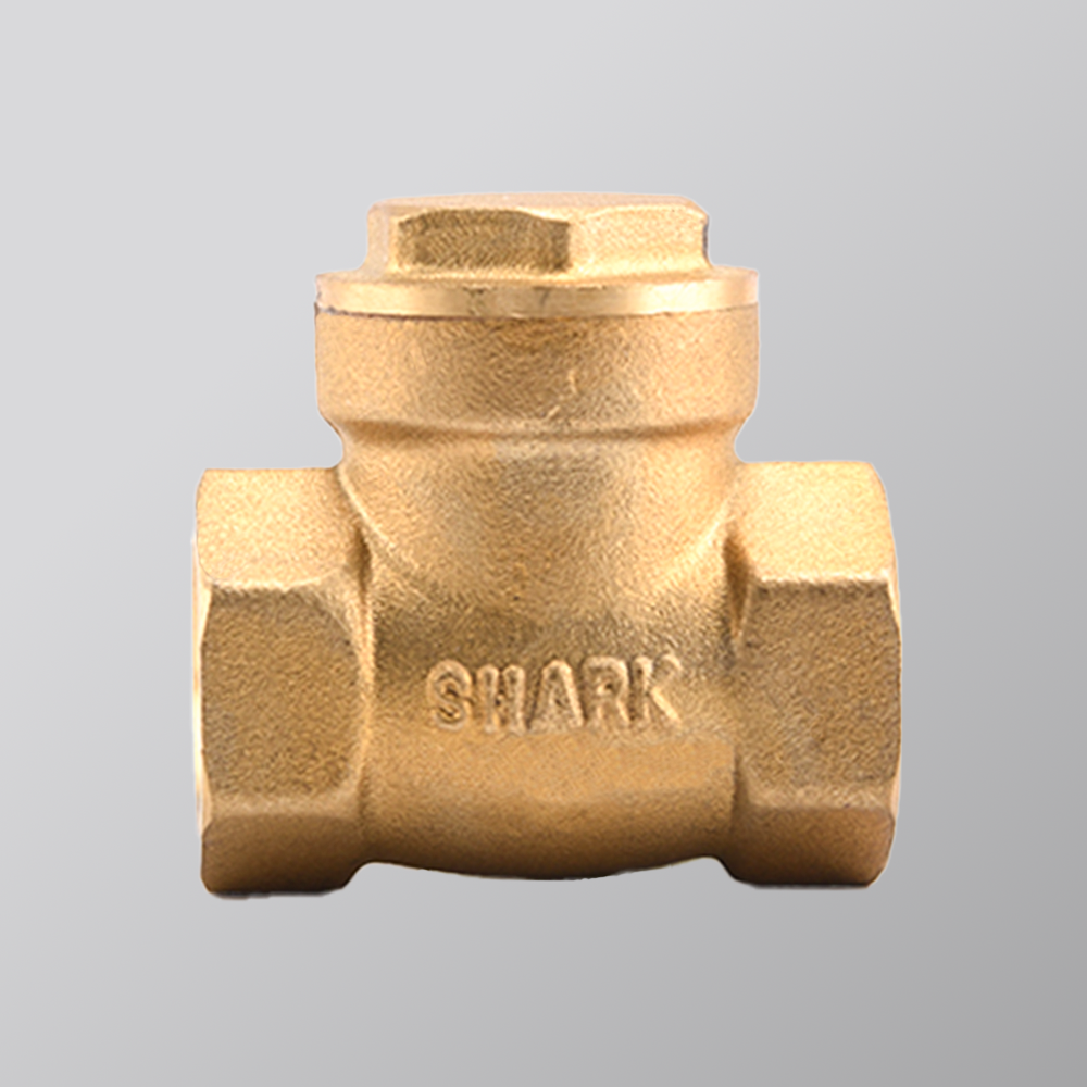 Brass Swing Check Valve
