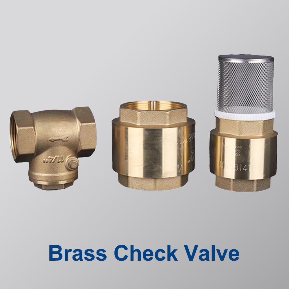 Brass Check Valve