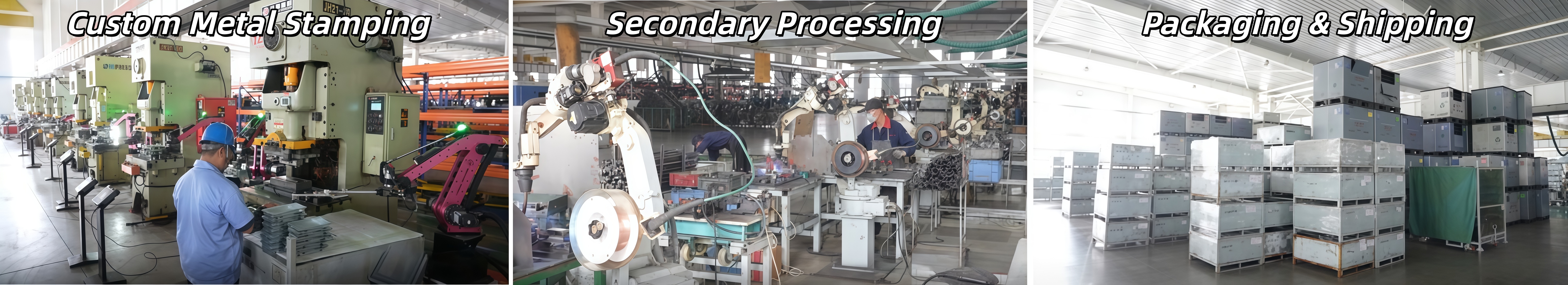 Professional Team & Advanced Equipment