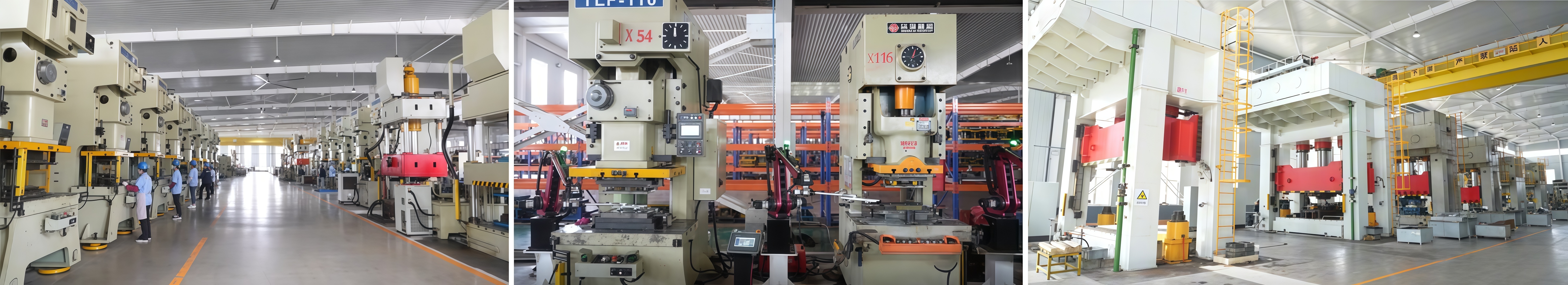 Professional Team & Advanced Equipment