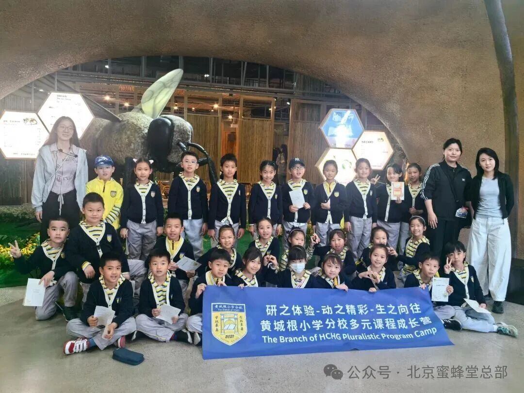 Learning Through Exploration: Students from Multiple Primary Schools Visit Beehall Bee Museum