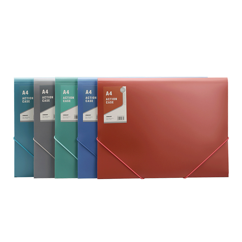 F4161-NP | DOCUMENT CASE