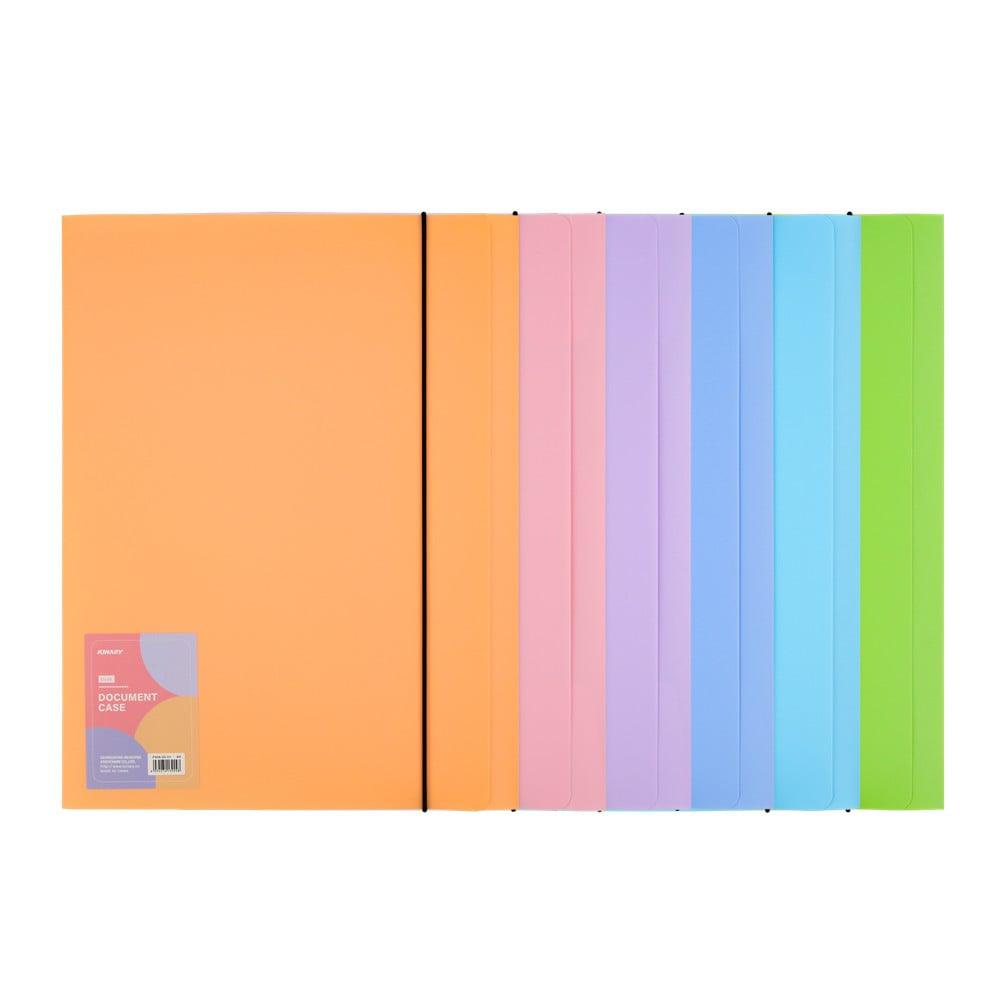 F404-20-V+ | DOCUMENT CASE