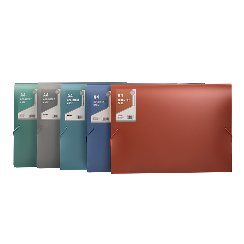 F403-NP | DOCUMENT CASE