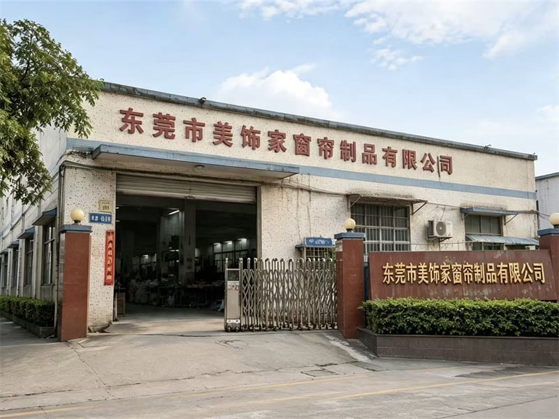Company Establishment