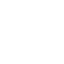 Fast Delivery