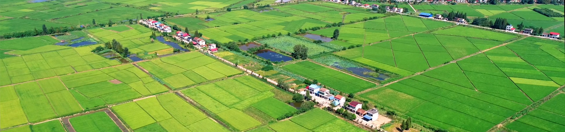 annual extraction of 100000 tons of by products hunan zhunong mizhen bio tech industrial park grandly commences construction-0