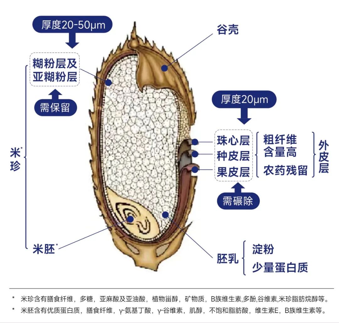 DM_20260928093248_002.jpg