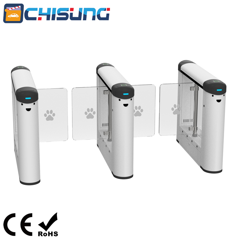 TD209DD CHISUNG Swing Barrier Gate.jpg