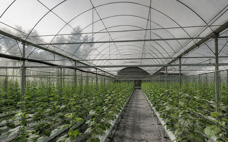 Fitness equipment