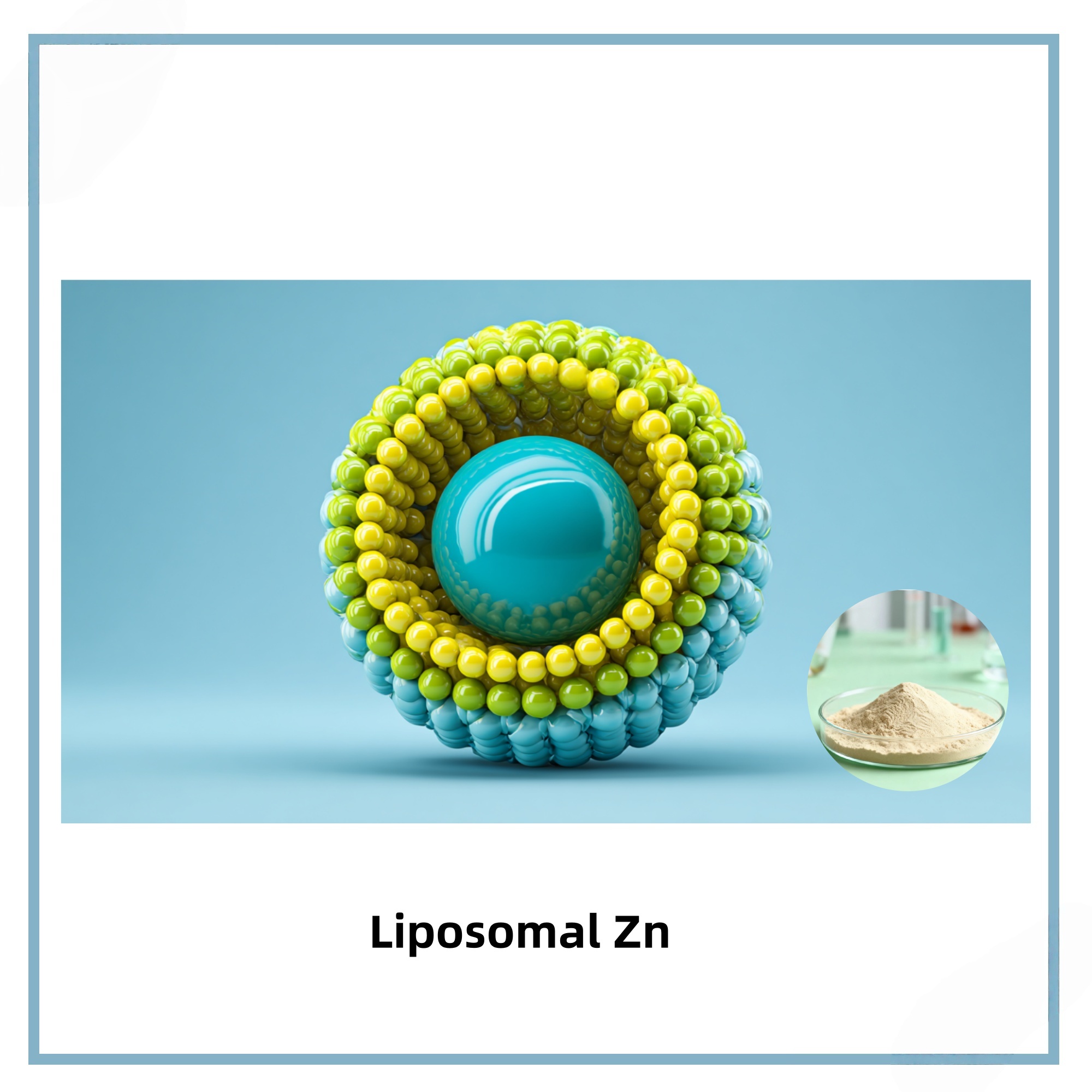 Liposomal Zn