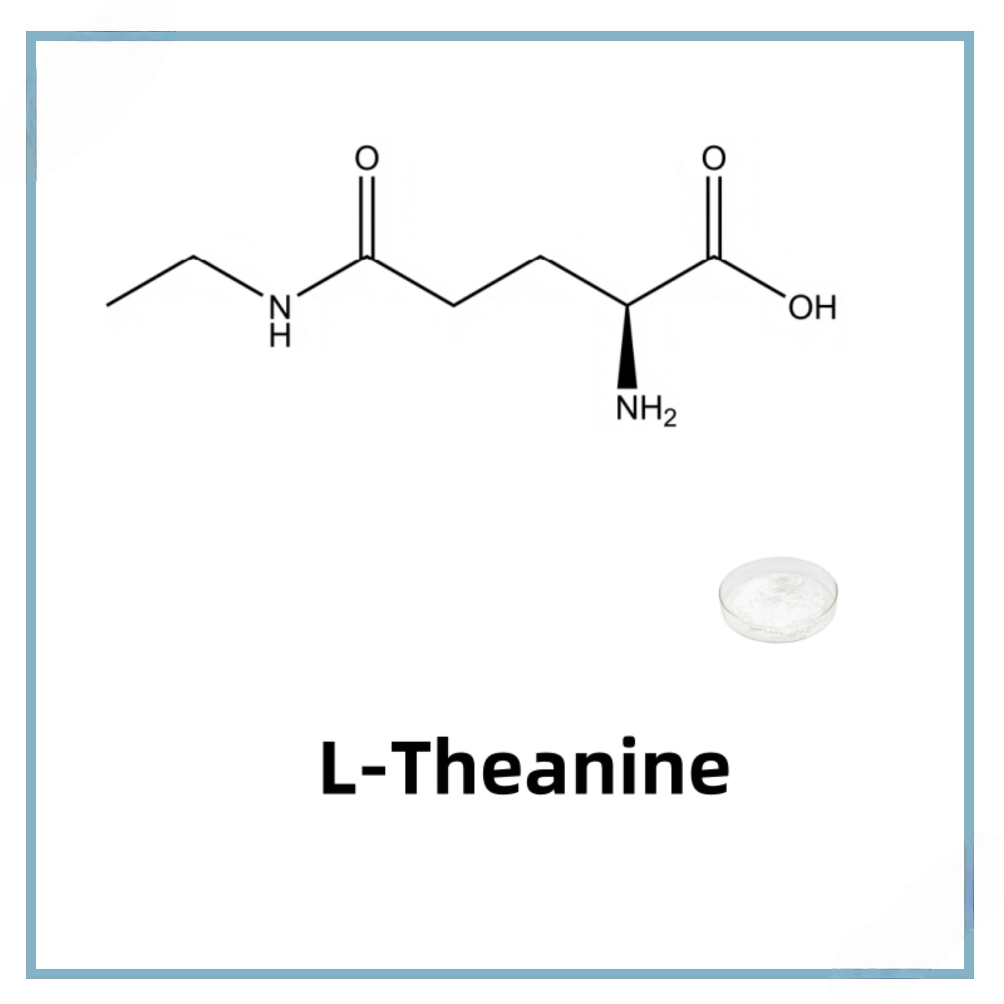 L-TheanineCAS 3081-61-6
