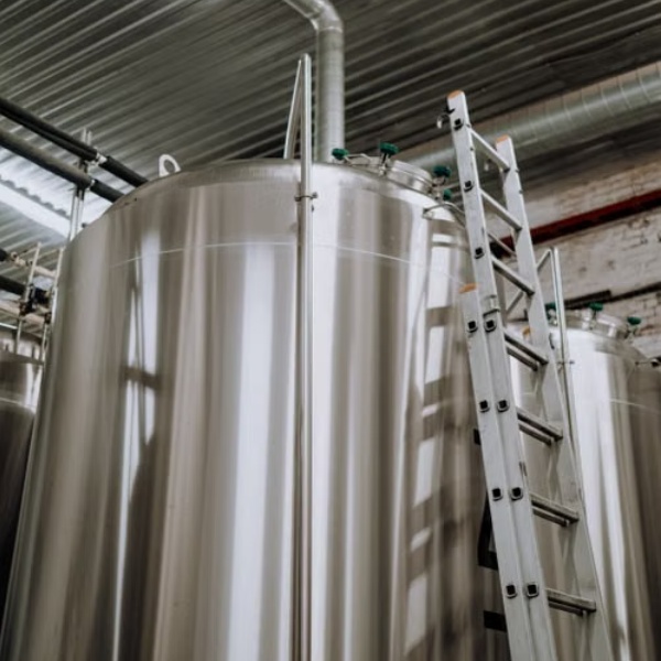 Superior Bioavailability Through Advanced Encapsulation