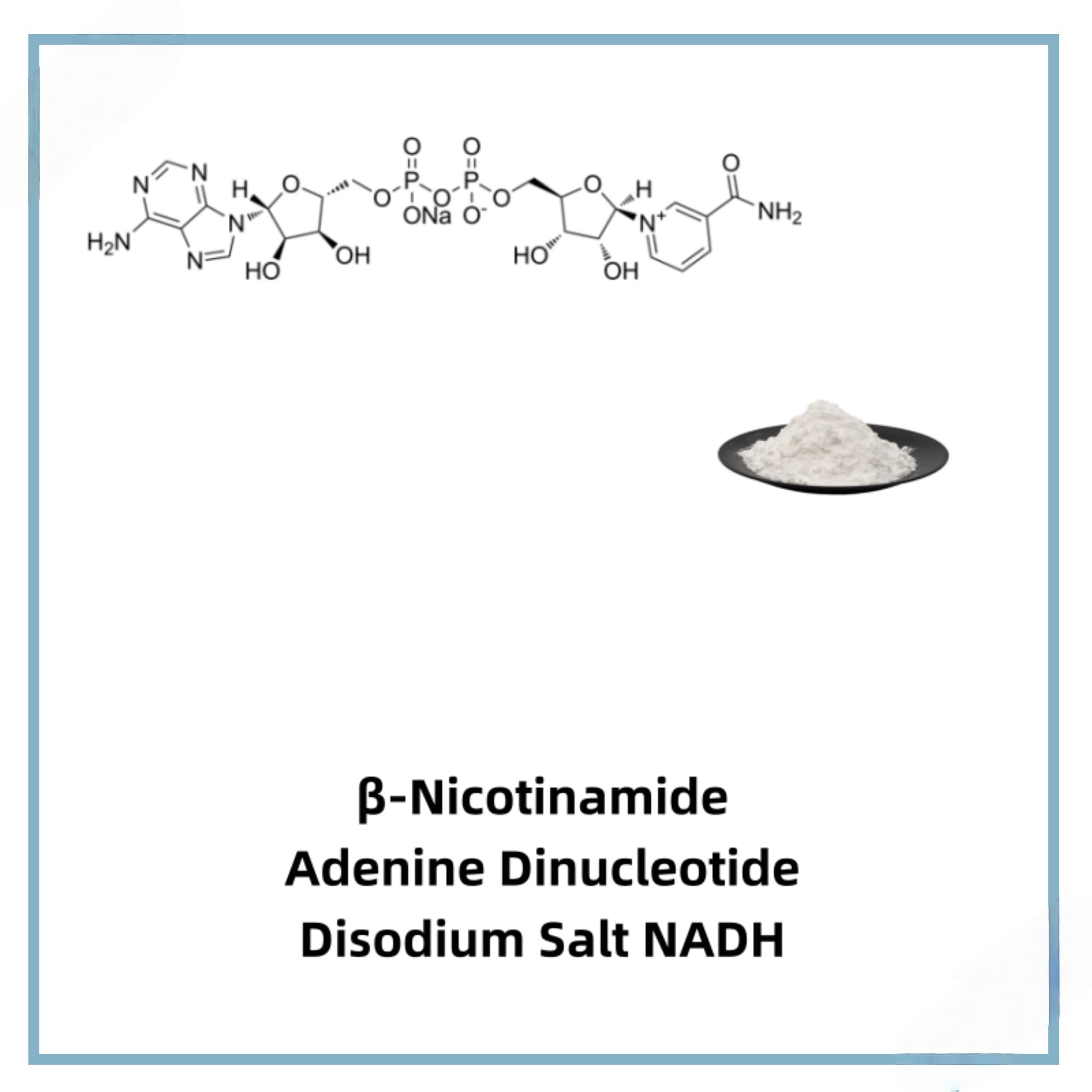 β-Nicotinamide Adenine Dinucleotide Disodium Salt NADHCAS 606-68-8