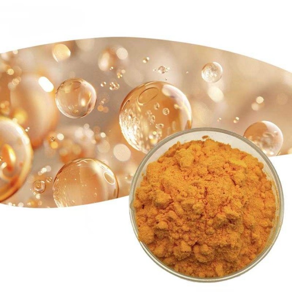 Superior Bioavailability Enhancement Through Advanced Encapsulation