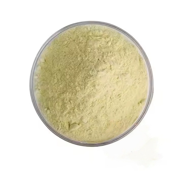 Eczacılık Derecesinde Kalite ve Güvenilirlik