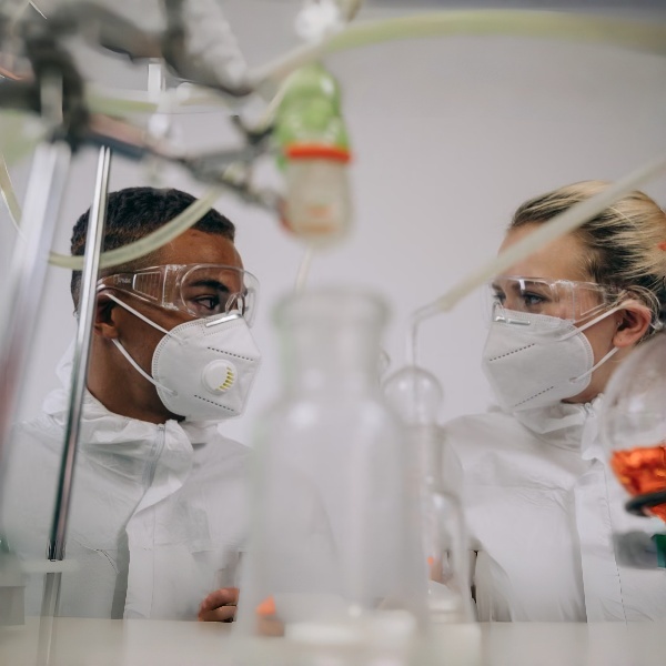 Estabilidade Genética e Integridade do DNA