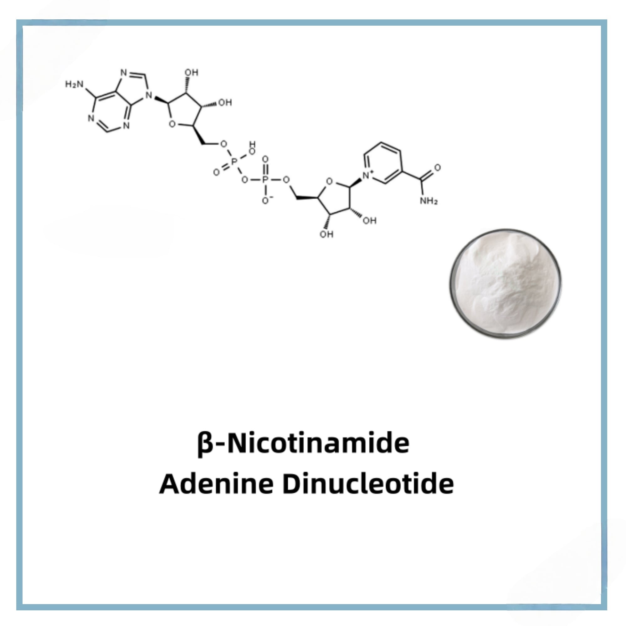 β-Nicotinamide Adenine DinucleotideCAS 53-84-9