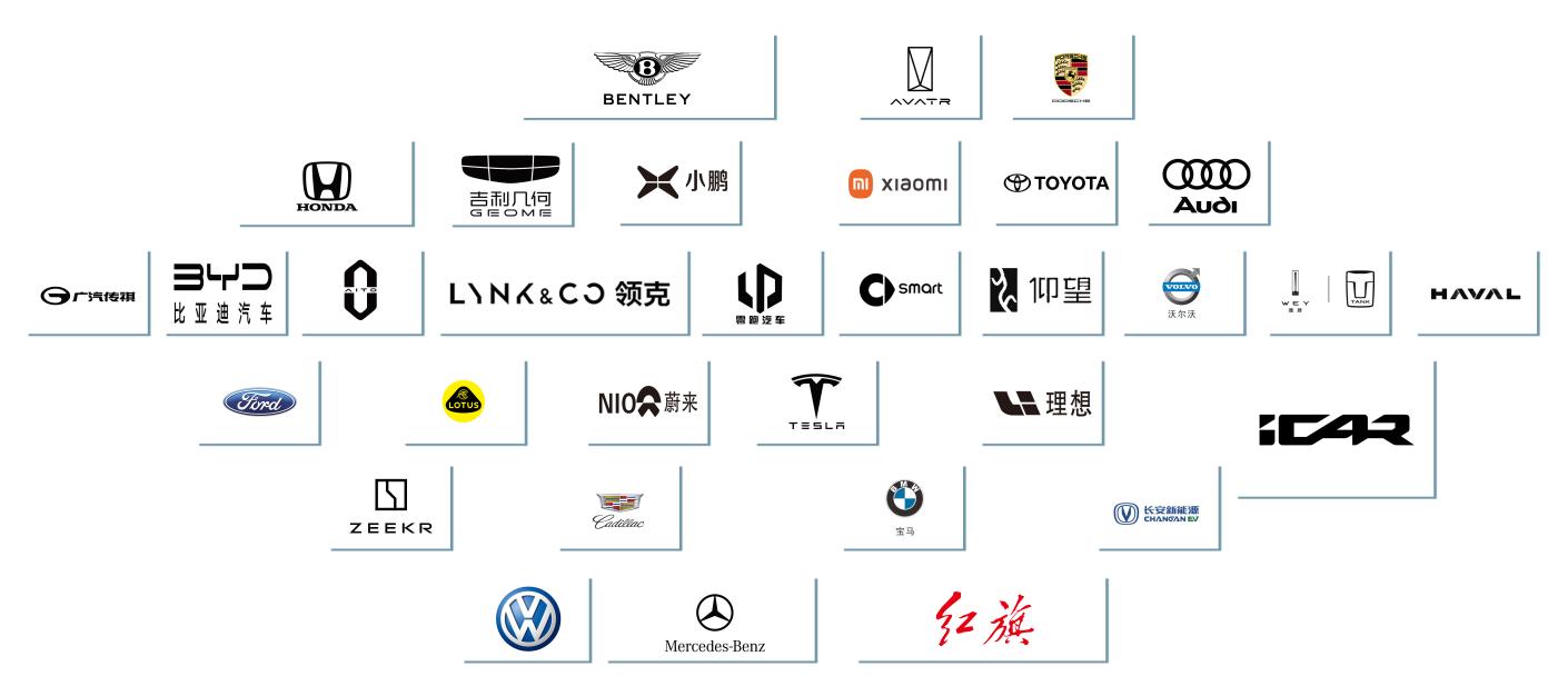 Our Partner