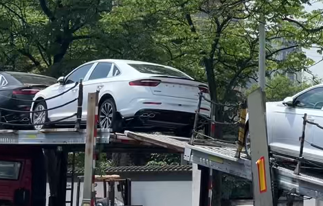 Гаалийн тээвэрлэлт 2
