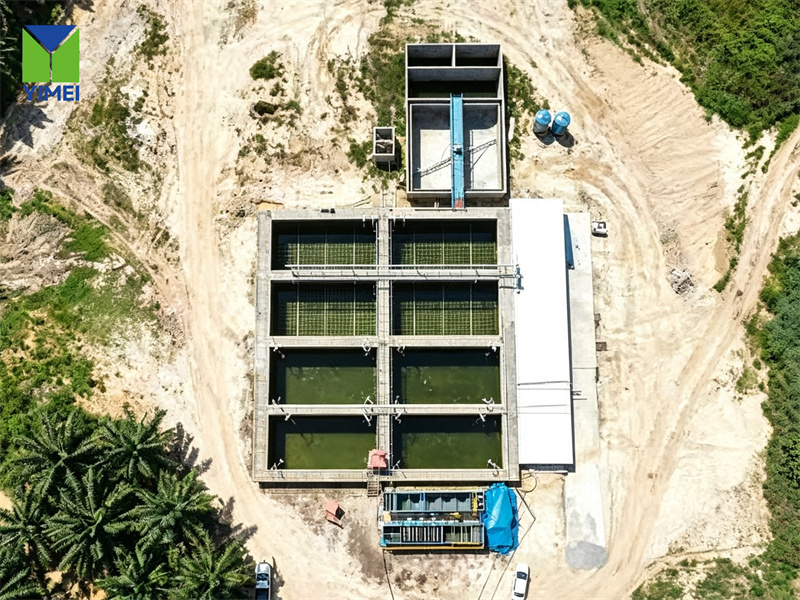 Malaysian palm oil3.jpg