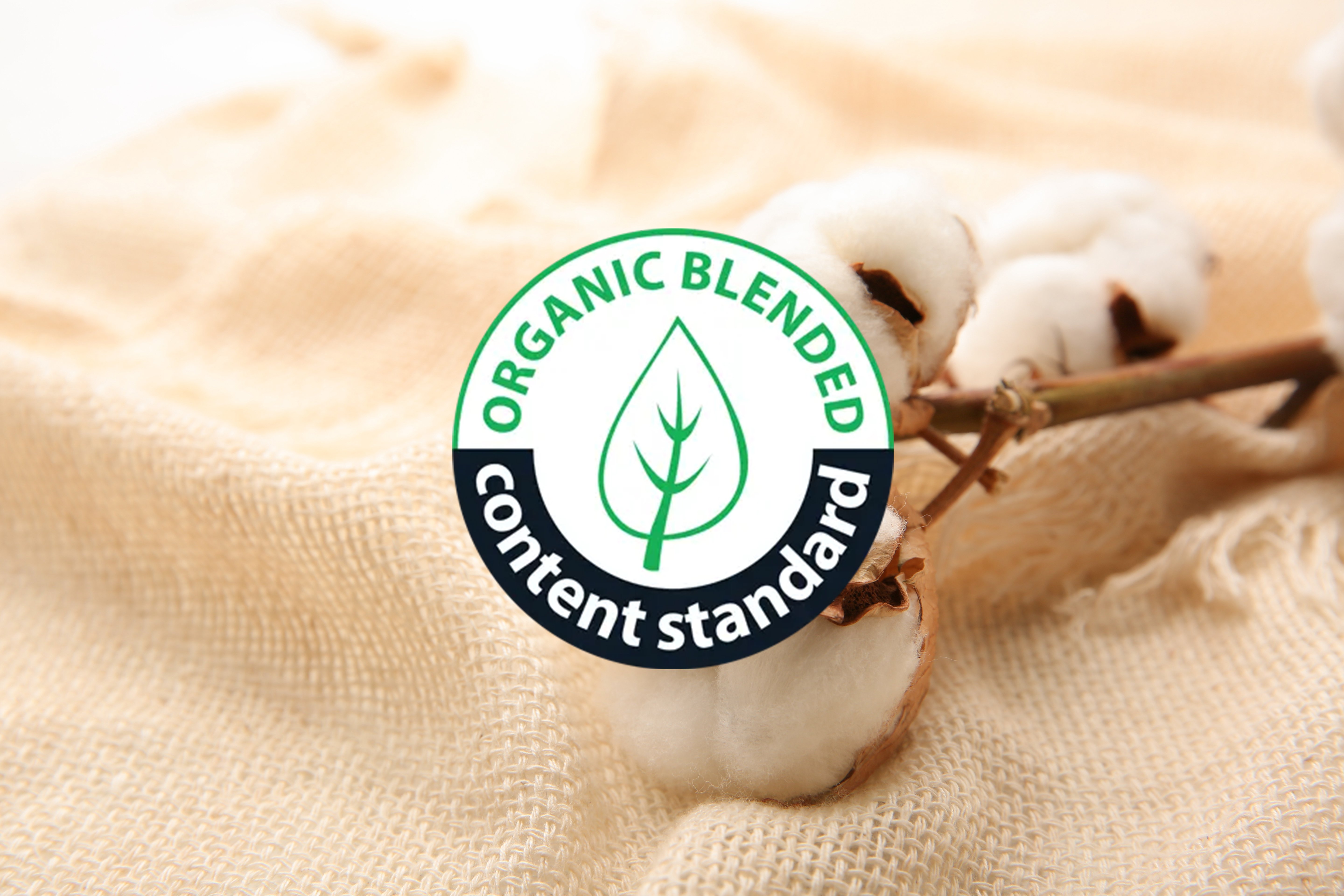 The Importance of OCS Certification