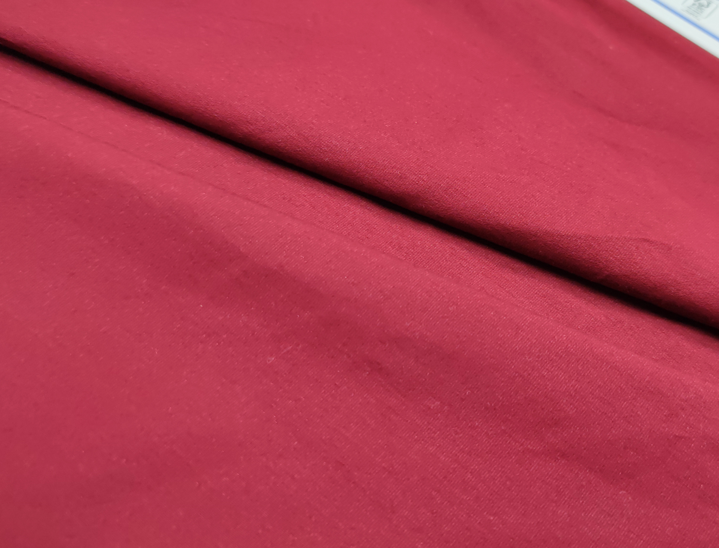 MVIMG_20251119_100141.jpg