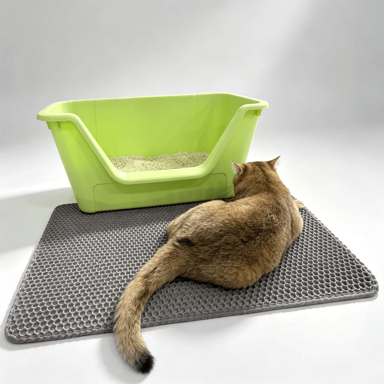 Double-Layer EVA Honeycomb Cat Litter Mat – Waterproof & Easy to Clean