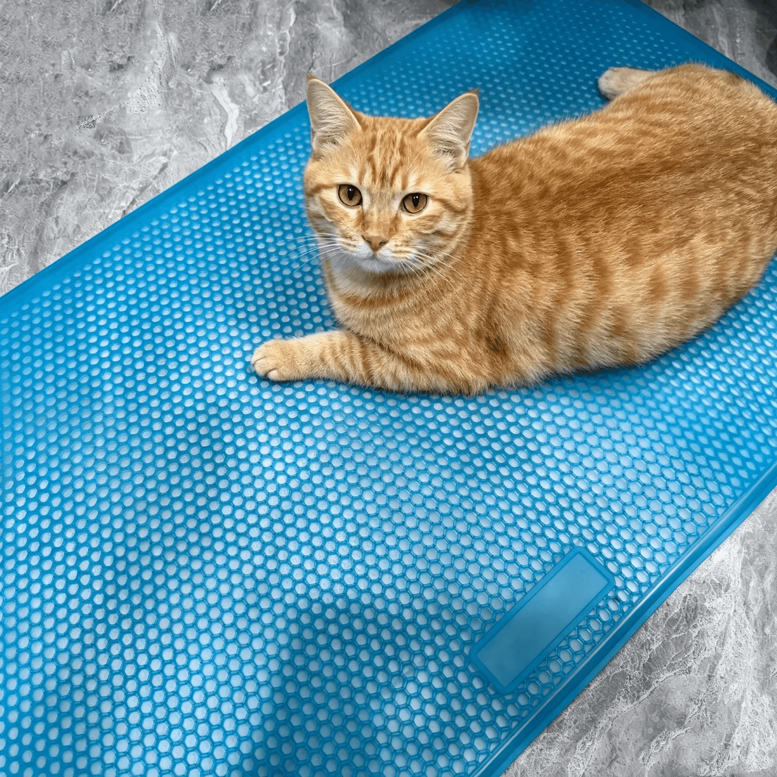 Custom Rubber Cat Litter Mat with Honeycomb Structure